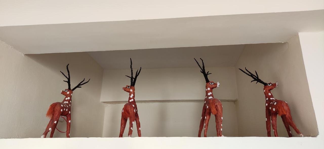 Love & Peace Apartment جبلبور المظهر الخارجي الصورة